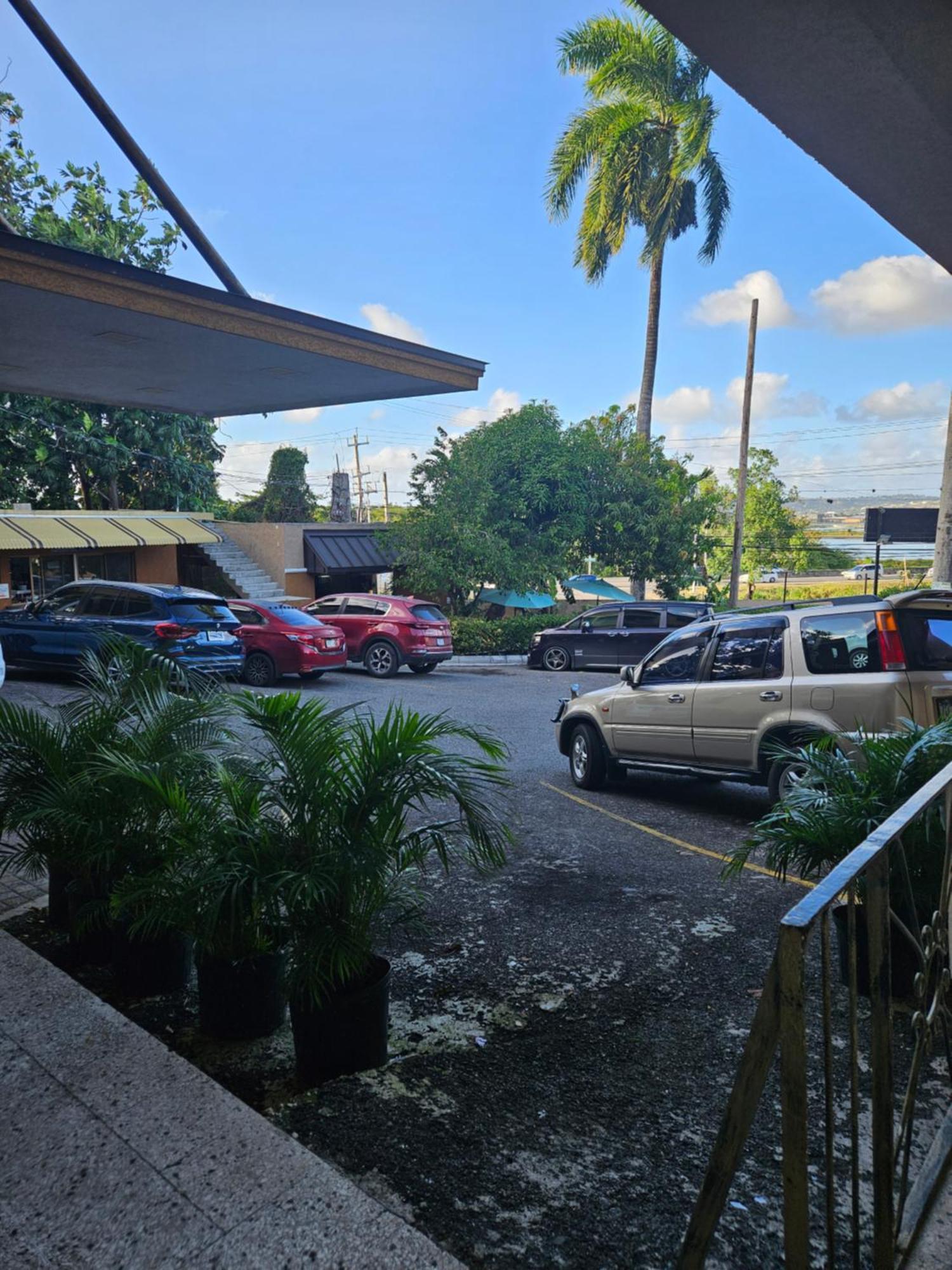 Palm Bay Guest House & Restaurant Teluk Montego Bagian luar foto