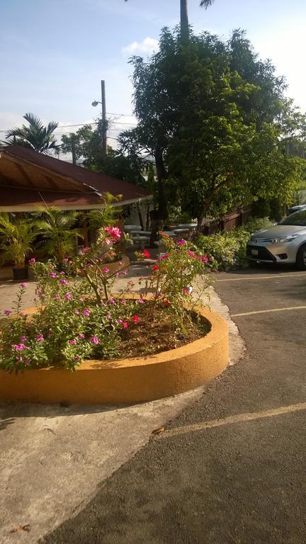 Palm Bay Guest House & Restaurant Teluk Montego Bagian luar foto